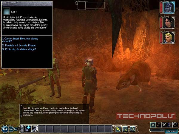 Screen z gry Neverwinter Nights 2: Wrota Zachodu